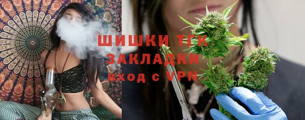 apvp Краснослободск