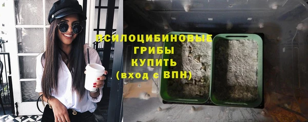 apvp Краснослободск