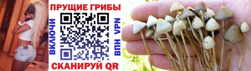 Галлюциногенные грибы мицелий  Ядрин 